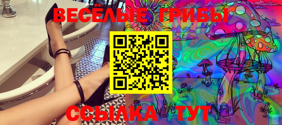 Малоярославец  Псилоцибиновые грибы Psilocybine cubensis  Вход с VPN  Псилоцибиновые грибы Magic Shrooms 